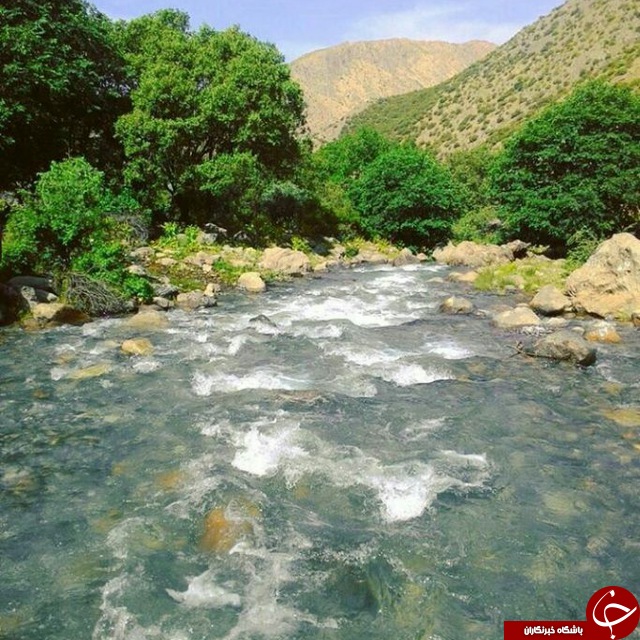 چشم&zwnj;اندازی از طبیعت بهاری در منطقه کهمان + تصاویر