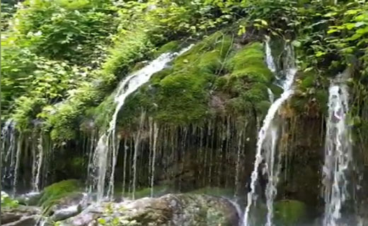 فیلمی از آبشار خزه‌ای شفیع‌آباد در قاب دوربین