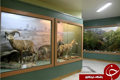 در سفر به آبادان از چه مکان هایی دیدن کنیم؟ در سفر به آبادان از چه مکان هایی دیدن کنیم؟