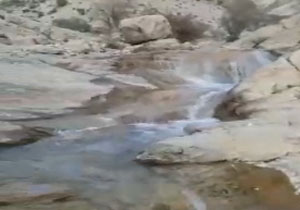 نمایی از طبیعت چشم‌نواز در نورآبادممسنی + فیلم