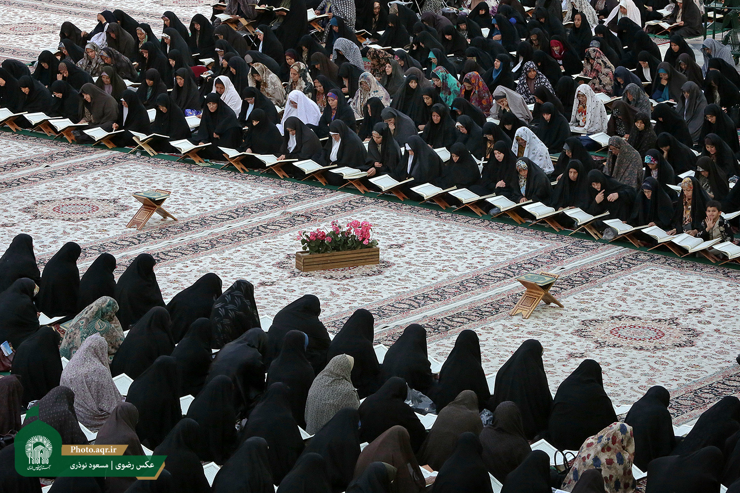برگزاری محفل اُنس با قرآن کریم در حرم مطهر حضرت امام رضا(ع) +تصاویر