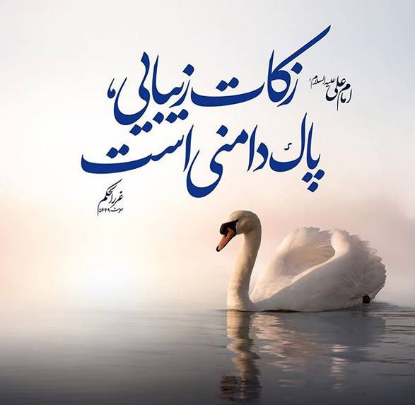 زکات زیبایی از منظر امام علی(ع) +تصویرنوشته