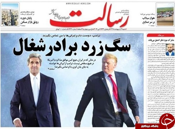 سگ زرد برادر شغال /