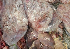 کشف فرآورده‌های خام دامی غیر بهداشتی در سرخه