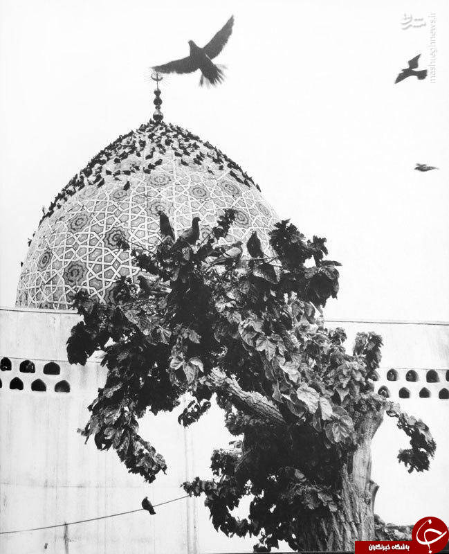 تصویری دیده نشده از امام زاده صالح در دهه ۴۰