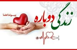 بخشیدن زندگی با اهدای عضو