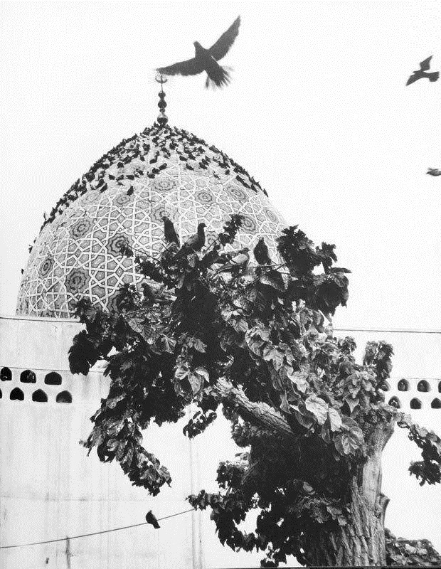 تصویری دیدنی از امامزاده صالح در دهه ۴۰