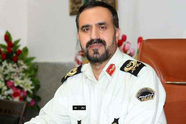 کشف بیش از ۲۹۴ راس دام و ۳ هزار قطعه مرغ قاچاق در ایلام