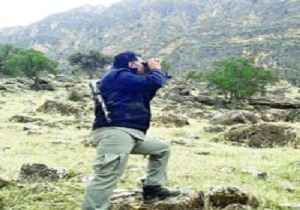 محیط بانی در عوض سه سال حبس
