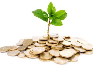 افزایش میزان تسهیلات بخش کشاورزی در خراسان جنوبی