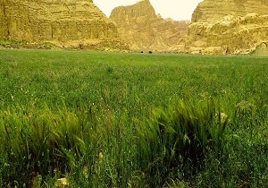 کوه بافق گنجیه غنی از گردشگری