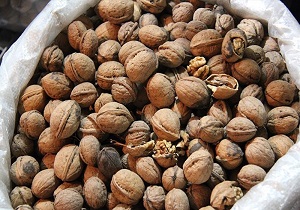 کشف گردوی قاچاق در اصفهان
