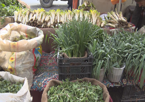 فصل بهار و چیدن سفره&zwnj;هایی سبز مملو از عطر طبیعت