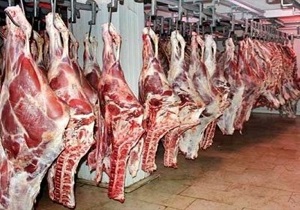 راه اندازی دوباره کشتارگاه دام دیواندره