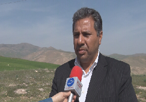 فعالیت بیش از ۵ هزار بهره بردار در مراتع شهرستان مهاباد