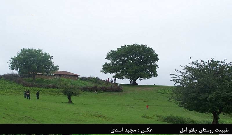 سفر به ۷ جنگل ناشناخته در اطراف تهران