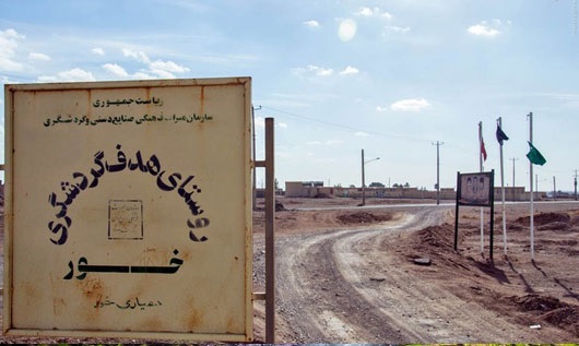 سفر به ۷ جنگل ناشناخته در اطراف تهران