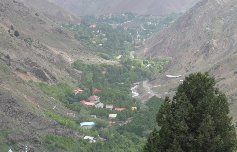 سفر به ۷ جنگل ناشناخته در اطراف تهران
