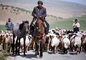 خسارت ۷ میلیارد تومانی سیل به زیرساخت‌های عشایری پلدختر