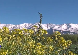 چشم‌اندازی از طبیعت جذاب در روستای تکه + فیلم