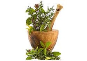 برگزاری اولین همایش ملی تغذیه و مسائل زیست محیطی گیاهان دارویی در آذربایجان غربی