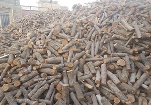 کشف يک تن چوب قاچاق در اصفهان