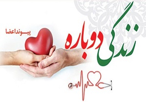 اهدای اعضای بدن سه بیمار مرگ مغزی در اردبیل