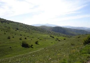 قرق ۴۵۰ هزار هکتار از مراتع خراسان جنوبی