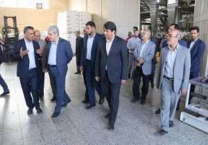 معاون علمی و فناوری رئیس جمهور از چهار واحد دانش بنیان در یزد بازدید کرد