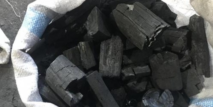 دستگیری متخلفان تولید ذغال غیرمجاز در زاهدان