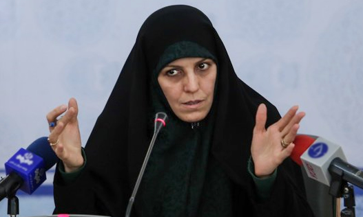 لایحه  تأمین امنیت زنان در برابر خشونت بلاتکلیف است/ ناکامی&zwnj;هایی در دولت فعلی در حوزه زنان وجود دارد