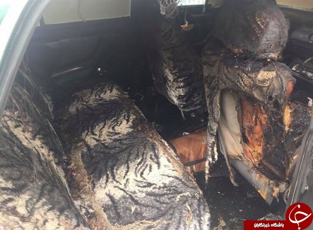 سرانجام وحشتناک تنها رها کردن کودک خردسال در حیاط خانه! + تصاویر///