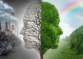 فعالیت شبکه منابع طبیعی و محیط زیست در کاهش آلودگی هوا