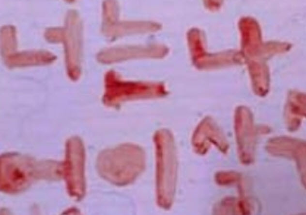 تقدیر عجیب هواداران از سلبریتی ها+تصاویر