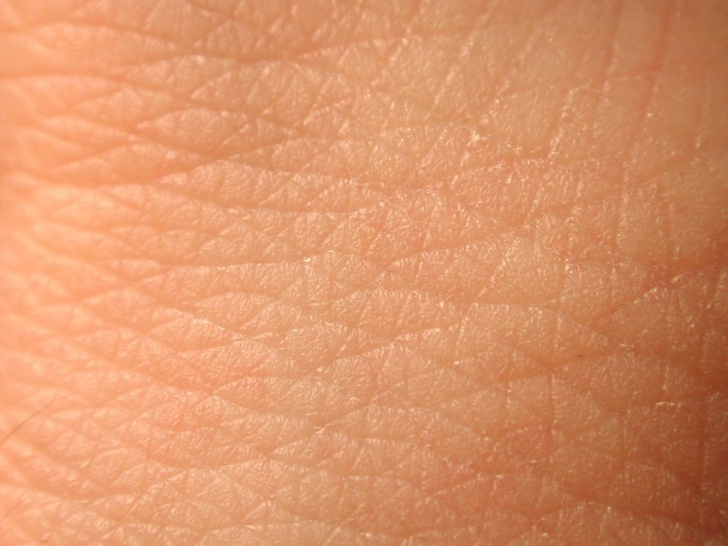 تقدیر عجیب هواداران از سلبریتی ها+تصاویر