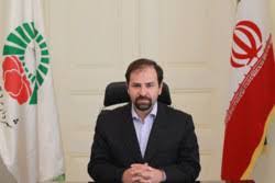 مبنا و اساس کار ما در میراث فرهنگی، اظهار نظر عضو شورای شهر نیست!