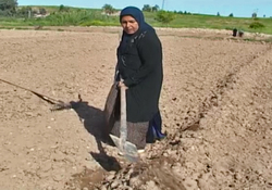 جان گرفتن هنر قلم زنی توسط هنرمندان قزوینی + فیلم