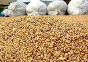 معدوم سازی ۲ تن مواد اولیه غیرقابل مصرف در فردوس