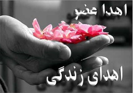 نگاهی گذرا به مهمترین رویداد&zwnj;های سه شنبه ۲۴ اردیبهشت ماه در مازندران