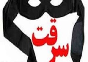نقشه مردان شیاد برای سرقت از صرافی‌های پایتخت