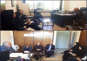 ۱۰۰ میلیارد ریال یارانه صادراتی به صادر کنندگان سیب درختی استان پرداخت می&zwnj;شود