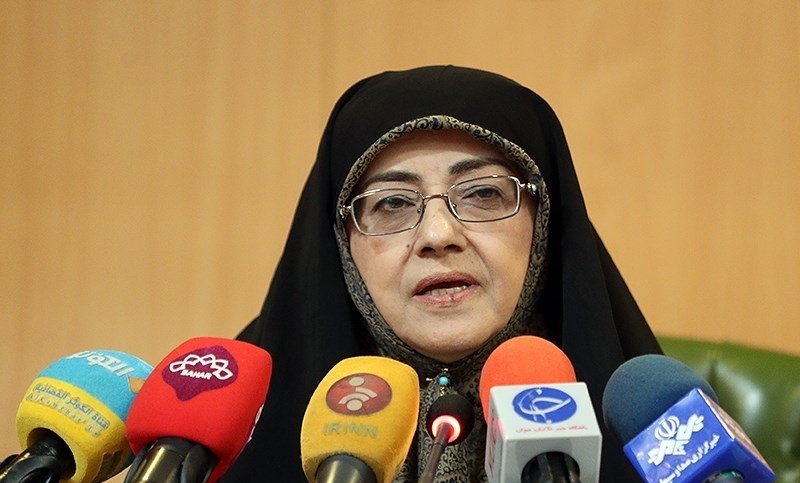 اعلام آمار معادل سازی کلمات خارجی از زبان حداد عادل/ دانشنامه زبان و ادب فارسی رونمایی شد