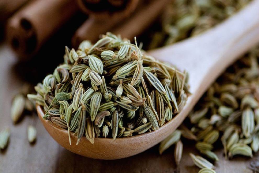 راهکاری ساده برای داشتن خوابی ارام/ با این روغن عملکرد سیستم گوارش را بهبود ببخشید/ ارتباط عجیب مصرف نمک با سرطان معده راهکاری ساده برای داشتن خوابی ارام/ با این روغن عملکرد سیستم گوارش را بهبود ببخشید/ ارتباط عجیب مصرف نمک با سرطان معده