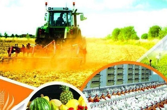 تجهیز ۲۲۷ هزار هکتار از اراضی کشاورزی کشور به آبیاری تحت فشار