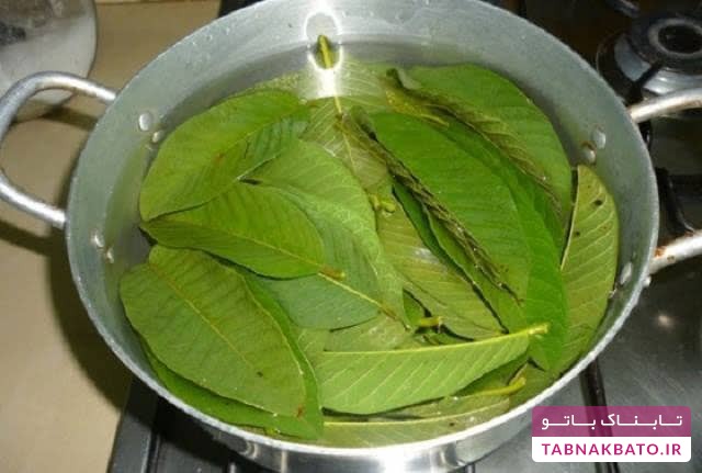 برطرف کردن ریزش مو با نسخه گیاهی