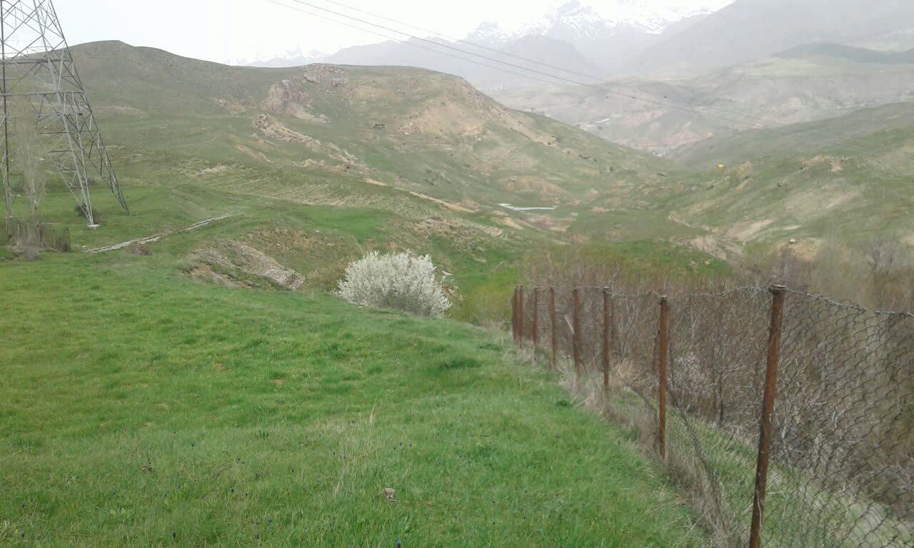 تصاویری از طبیعت بهاری در طالقان