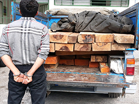 کشف یک محموله چوب قاچاق در رودبار