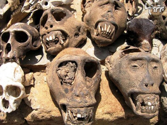 ترسناک&zwnj;ترین مکان&zwnj;های جهان که جرات بازدید از آن&zwnj;ها را ندارید + تصاویر