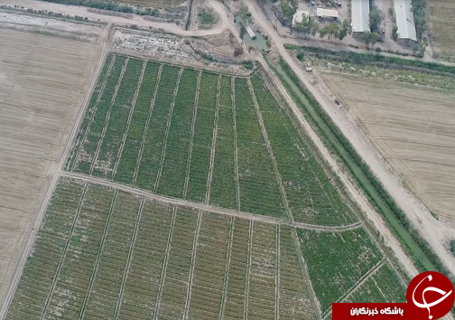 خوزستان قطب اصلی کشاورزی کشور و دریچه&zwnj;ای به سوی استقلال و اشتغال