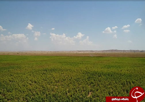خوزستان قطب اصلی کشاورزی کشور و دریچه&zwnj;ای به سوی استقلال و اشتغال